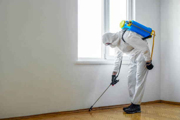 Indoor Pest Control in South Yarmouth, MA